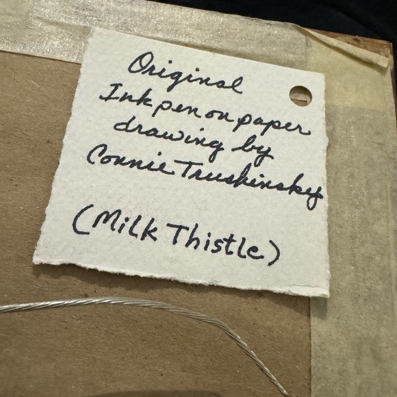 Vintage Framed Botanical Ink Pen Illustration Milk Thistle & Leaves MCM Unique - Picture 7 of 10